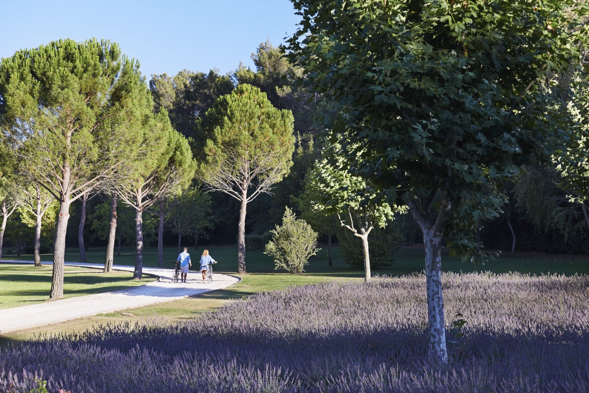 maison 17 Pièces en location saisonnière sur AIX EN PROVENCE (13100)