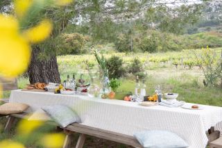 mas 10 Pièces en location saisonnière sur ARLES (13200)