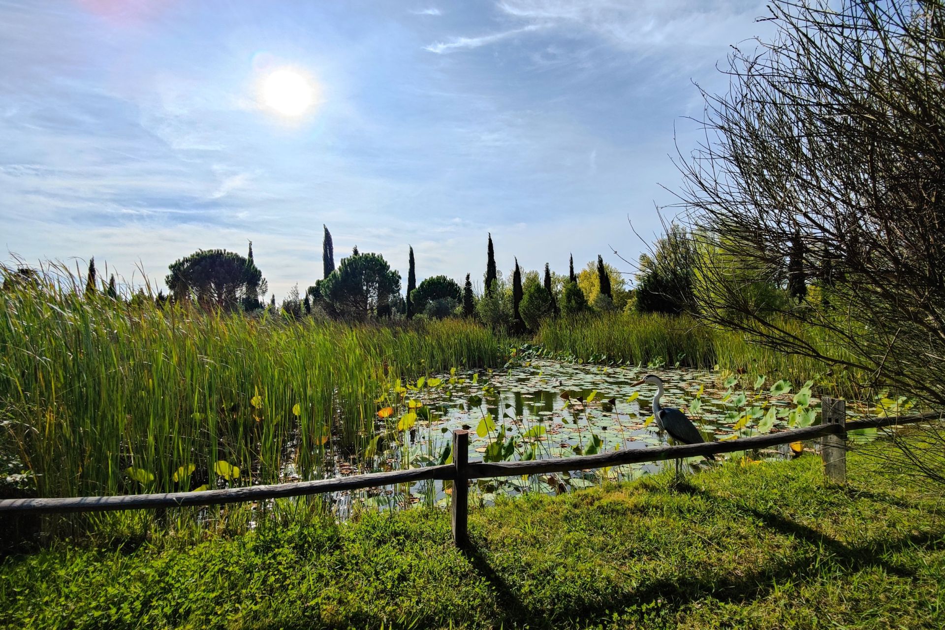 mas 11 Pièces en location saisonnière sur ST REMY DE PROVENCE (13210)