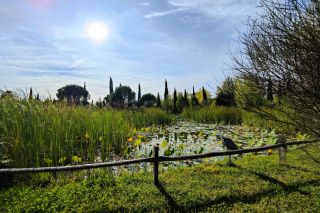 mas 11 Pièces en location saisonnière sur ST REMY DE PROVENCE (13210)