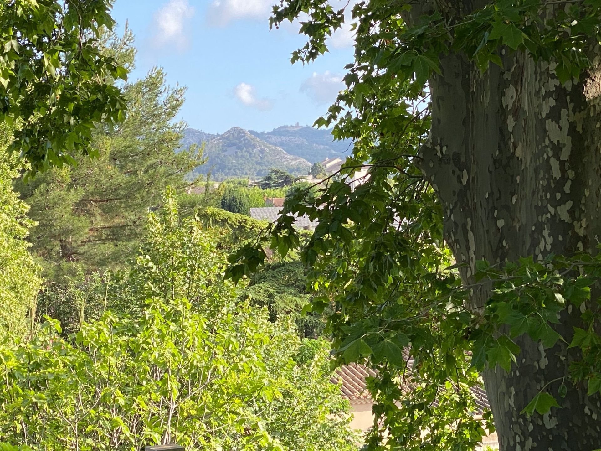 house 9 Rooms for sale on ST REMY DE PROVENCE (13210)