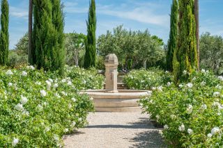 maison 8 Pièces en vente sur MAUSSANE LES ALPILLES (13520)