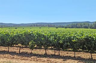 wine estate 30 Rooms for sale on AIX EN PROVENCE (13100)