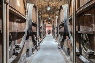 wine estate 30 Rooms for sale on AIX EN PROVENCE (13100)