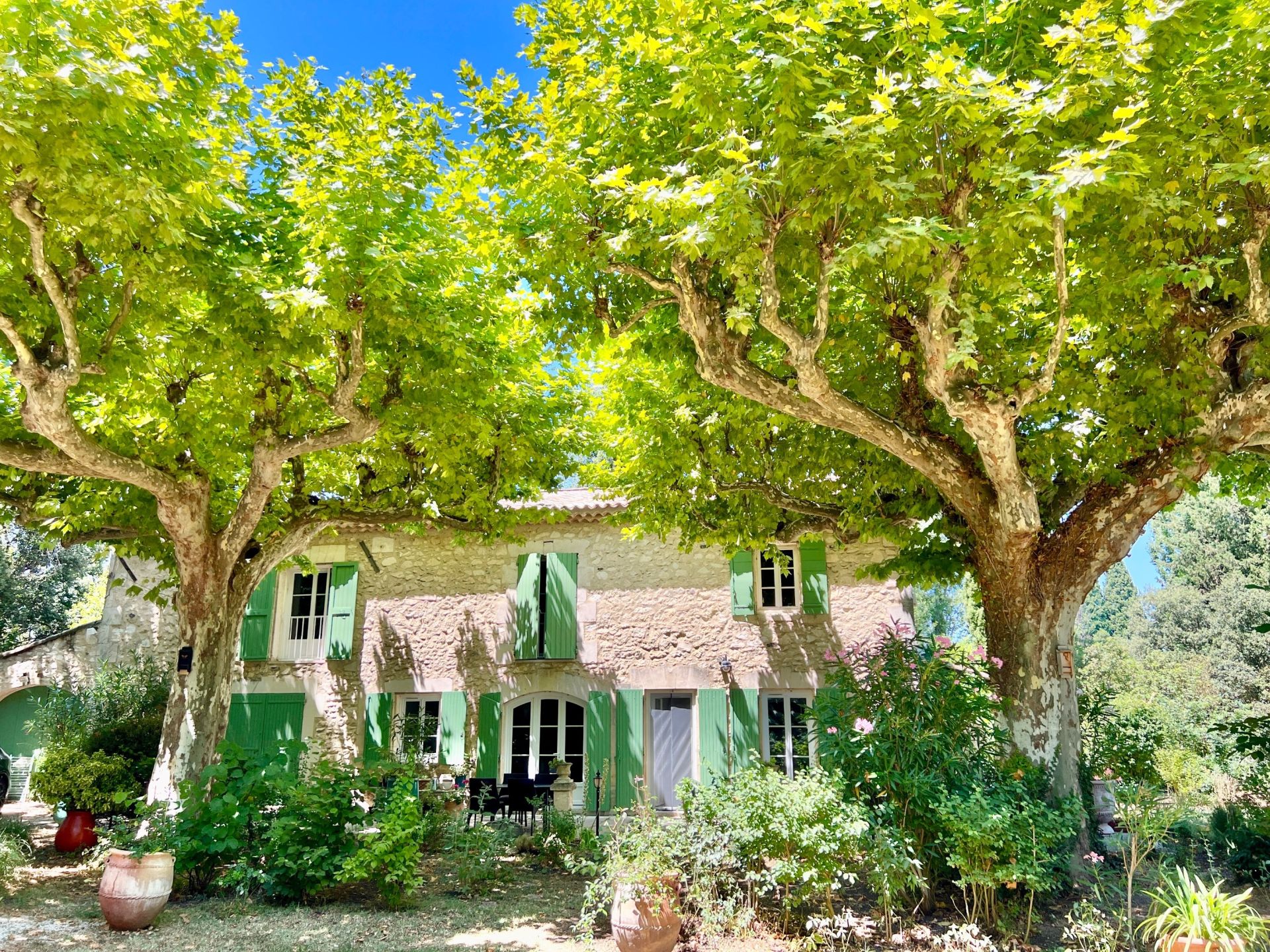 house 8 Rooms for sale on PLAN D ORGON (13750)