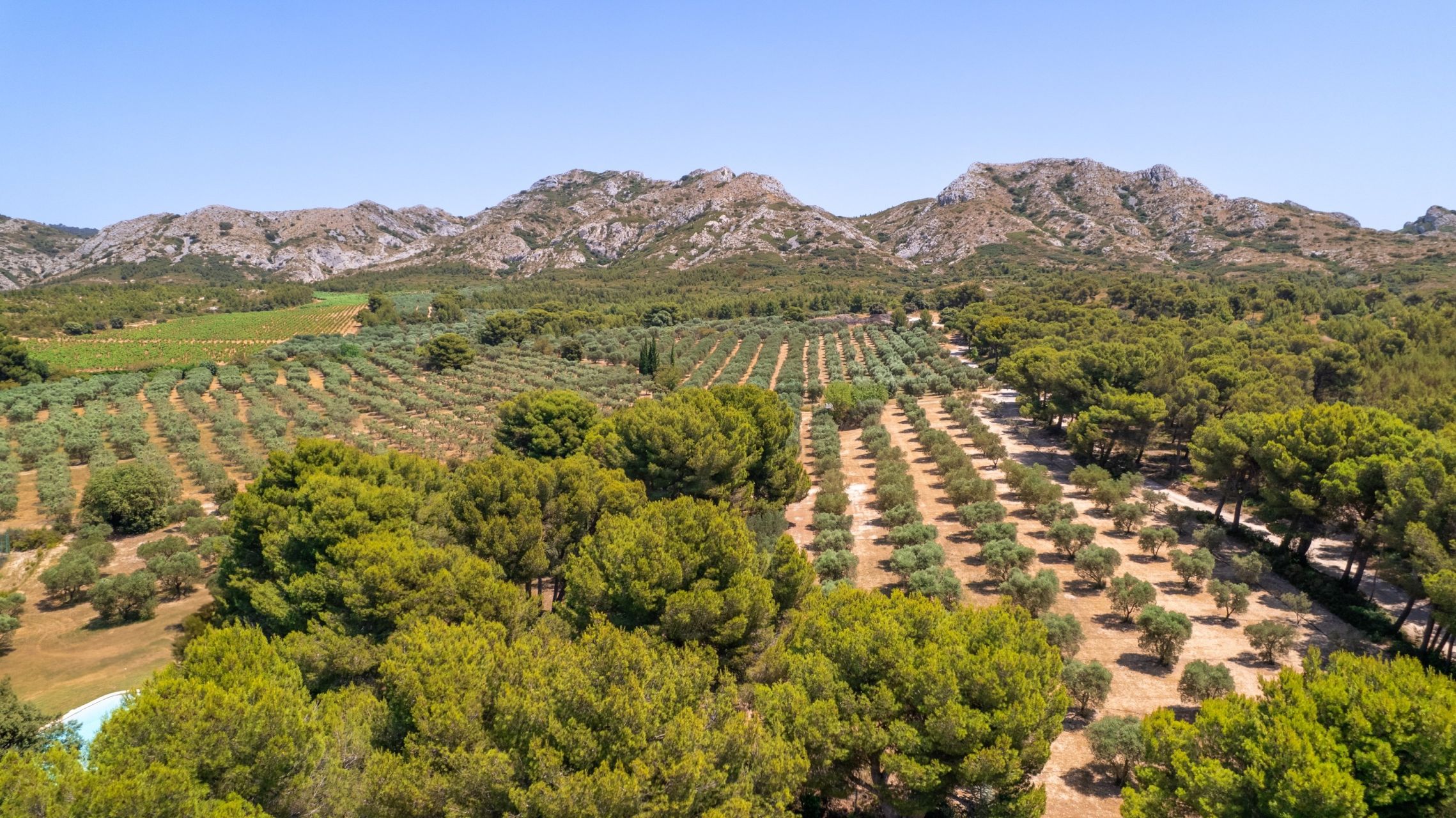 house 11 Rooms for sale on MAUSSANE LES ALPILLES (13520)