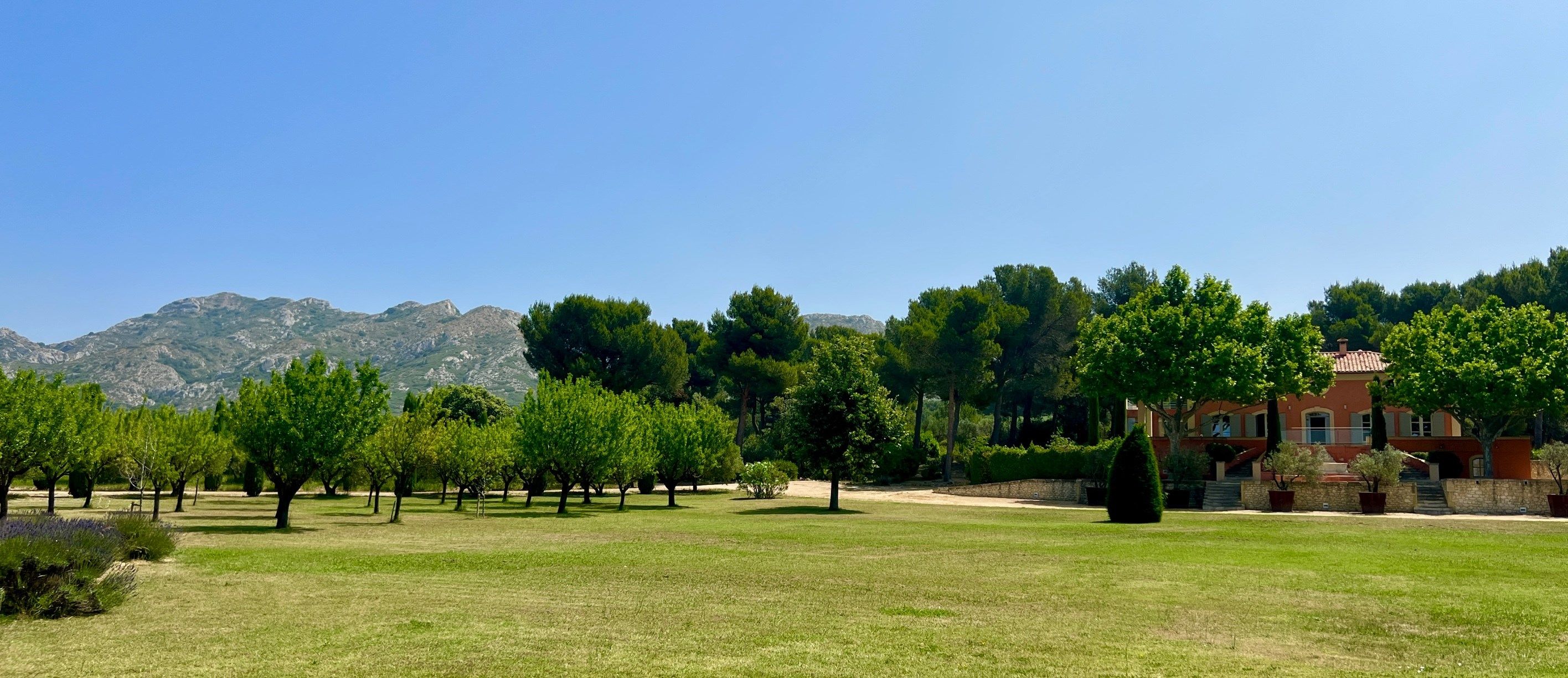 maison 11 Pièces en vente sur MAUSSANE LES ALPILLES (13520)