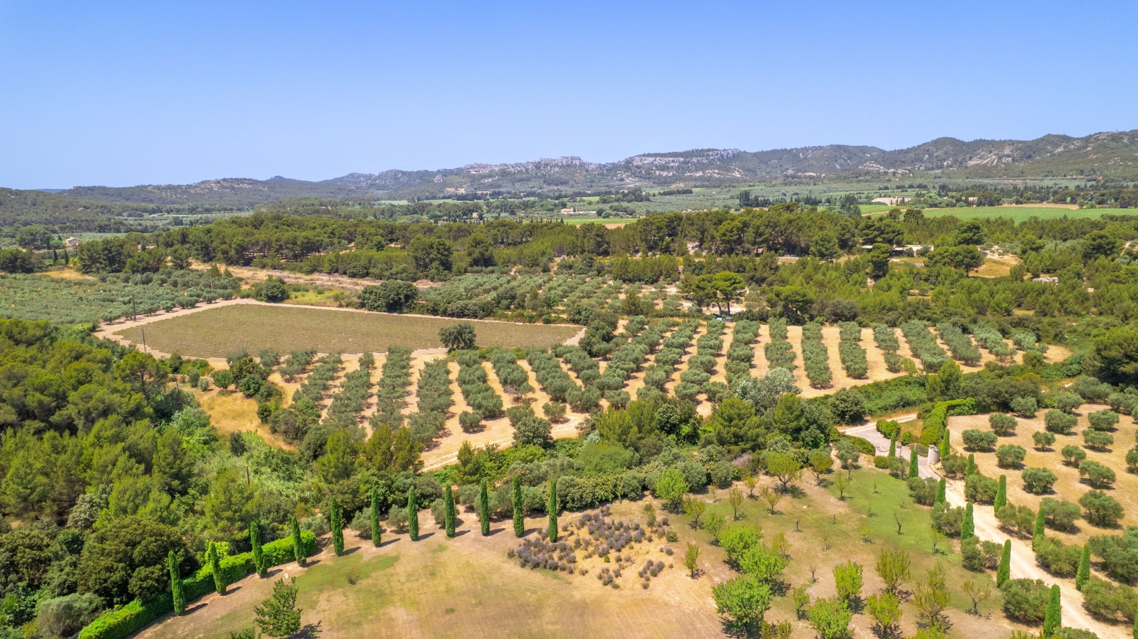 maison 11 Pièces en vente sur MAUSSANE LES ALPILLES (13520)
