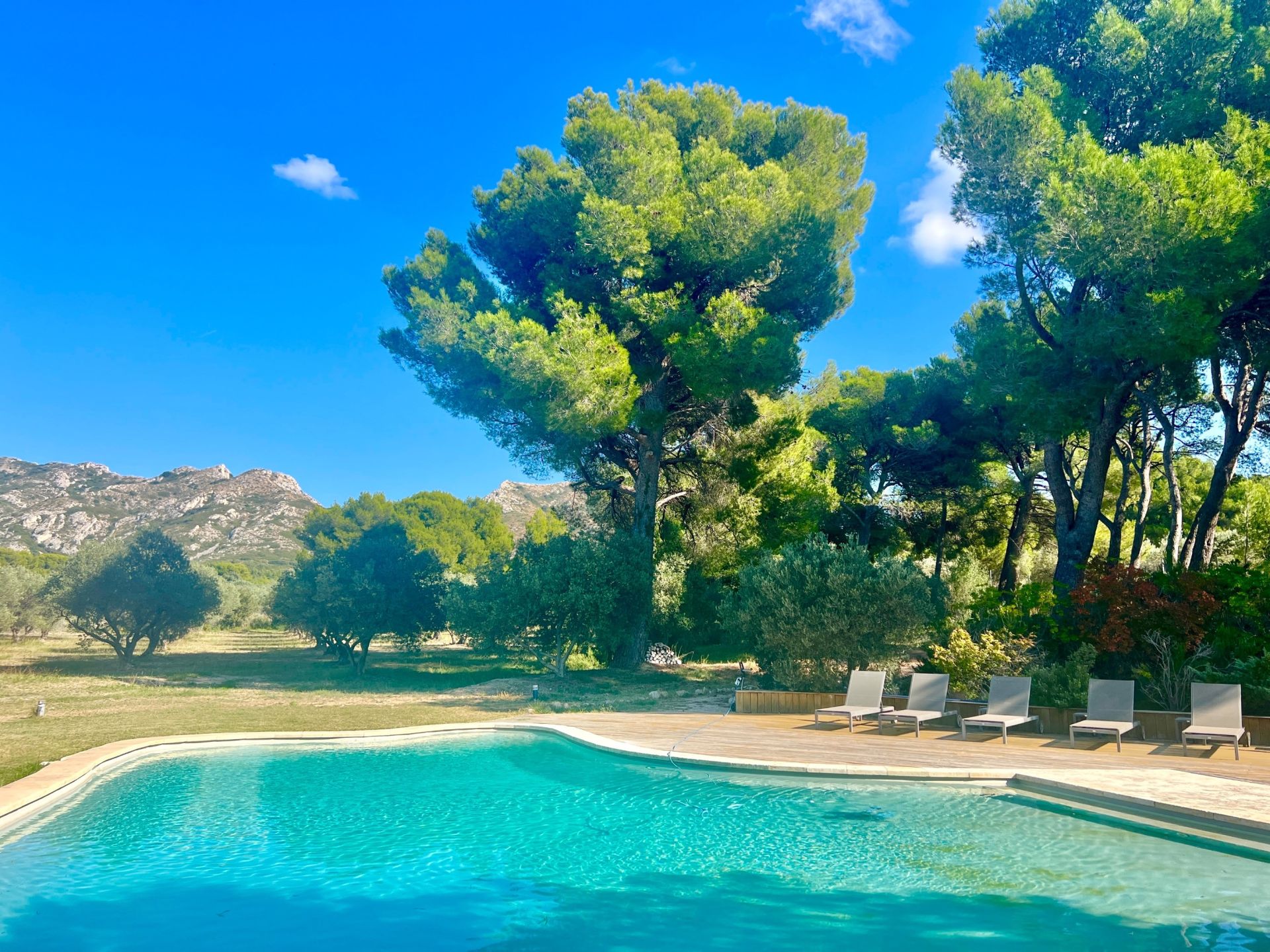 maison 11 Pièces en vente sur MAUSSANE LES ALPILLES (13520)