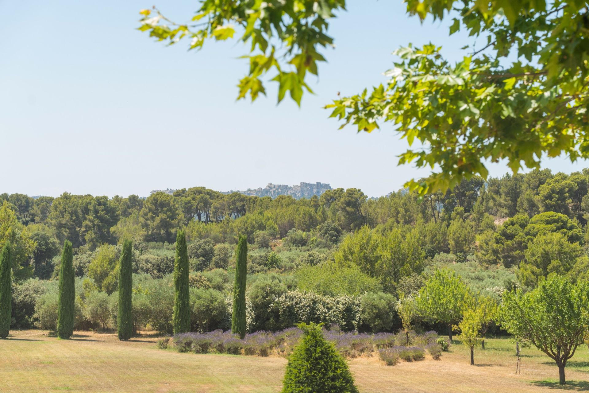 maison 11 Pièces en vente sur MAUSSANE LES ALPILLES (13520)