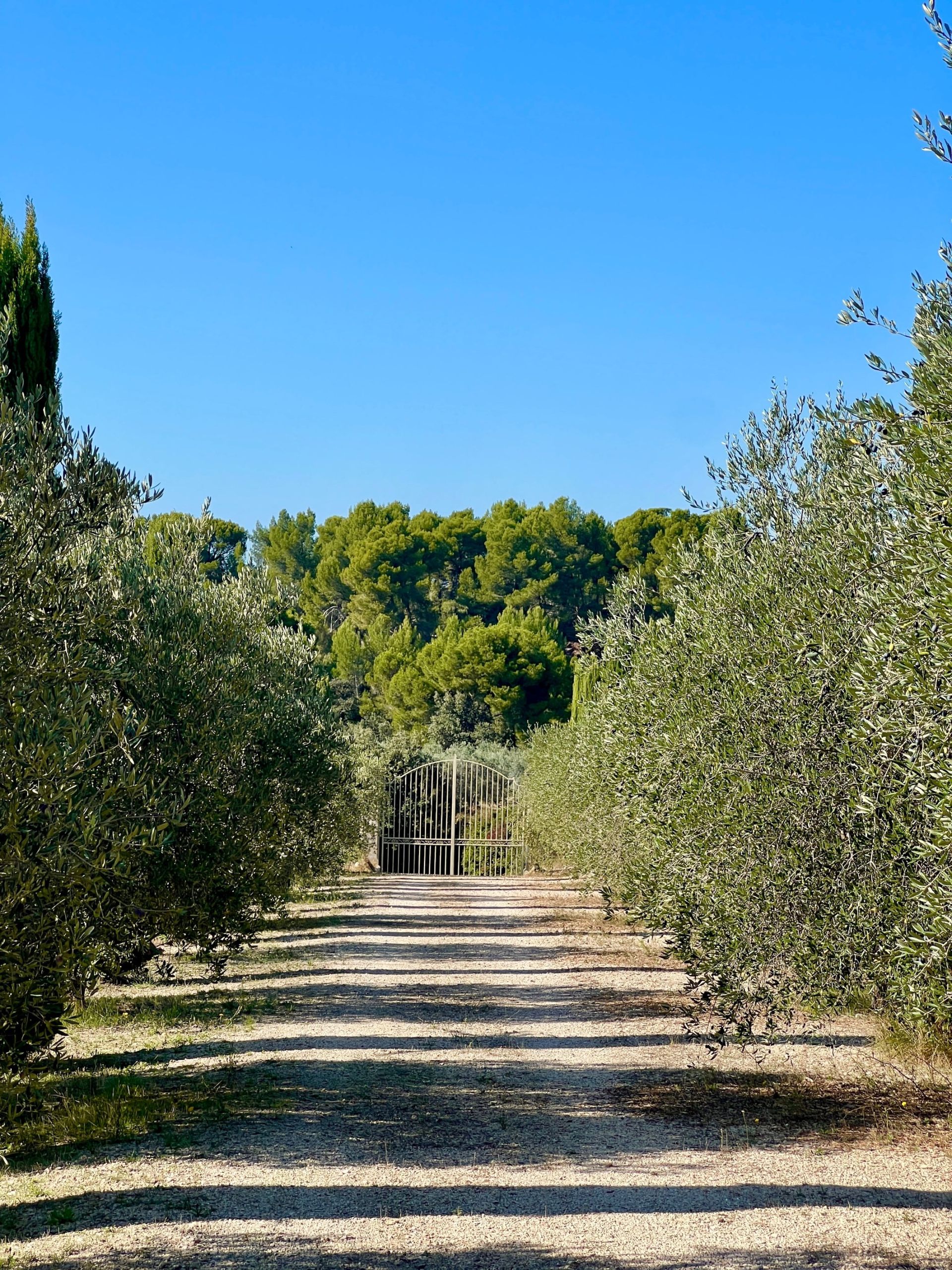 maison 11 Pièces en vente sur MAUSSANE LES ALPILLES (13520)