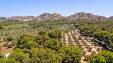 house 11 Rooms for sale on MAUSSANE LES ALPILLES (13520)