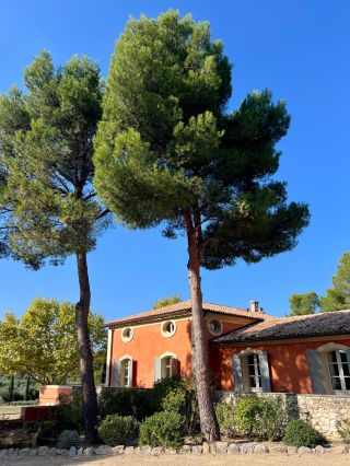 maison 11 Pièces en vente sur MAUSSANE LES ALPILLES (13520)