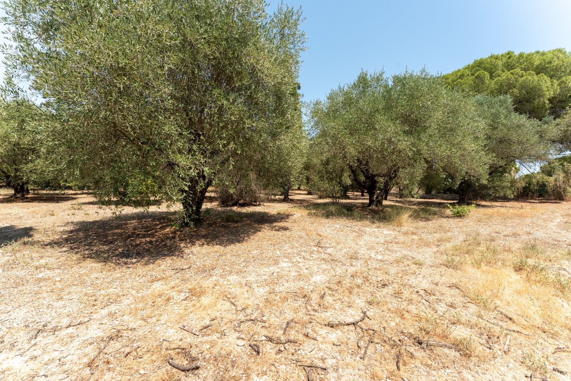 maison 6 Pièces en vente sur ST REMY DE PROVENCE (13210)