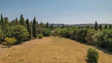 maison 6 Pièces en vente sur ST REMY DE PROVENCE (13210)