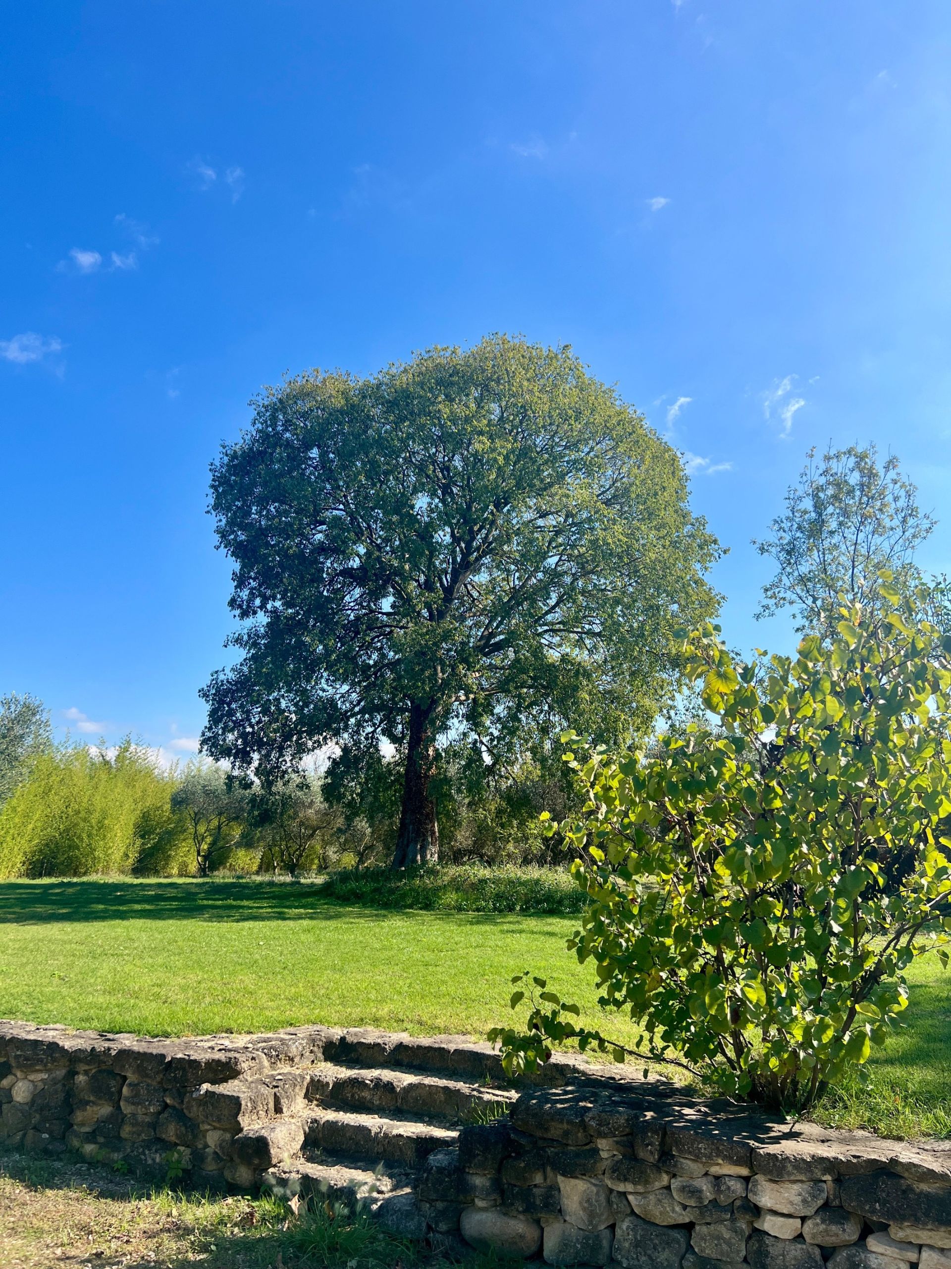 maison 5 Pièces en vente sur ST REMY DE PROVENCE (13210)