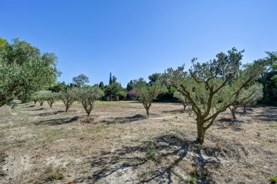 Sale Mas Saint-Rémy-de-Provence 2 Rooms 248 m²