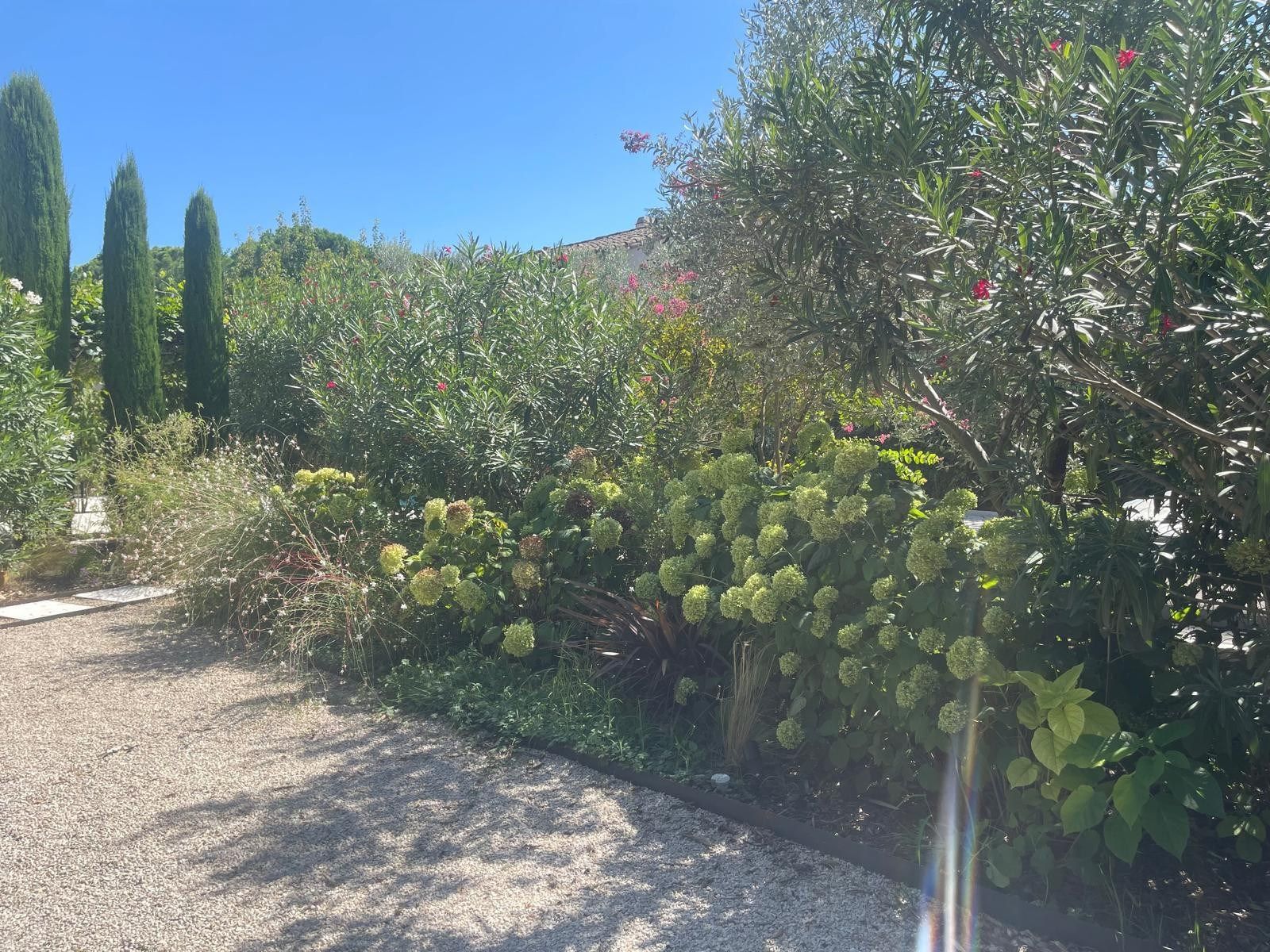 maison 5 Pièces en vente sur ST REMY DE PROVENCE (13210)