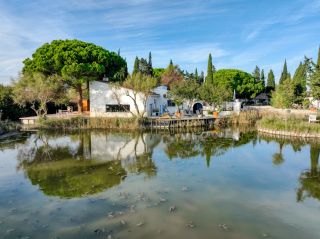 maison 9 Pièces en vente sur SAINTES MARIES DE LA MER (13460)
