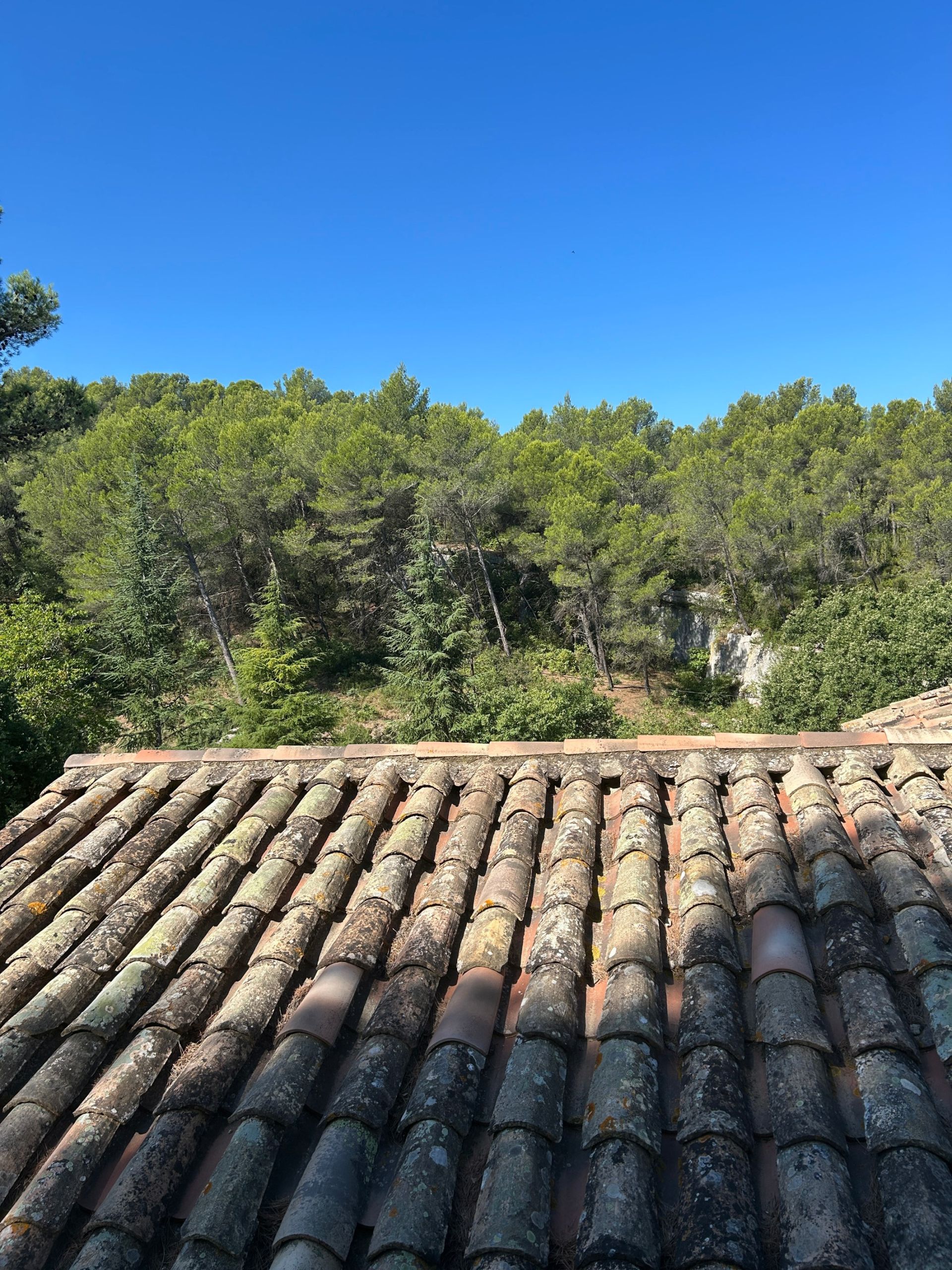 provencal house 5 Rooms for sale on ST REMY DE PROVENCE (13210)