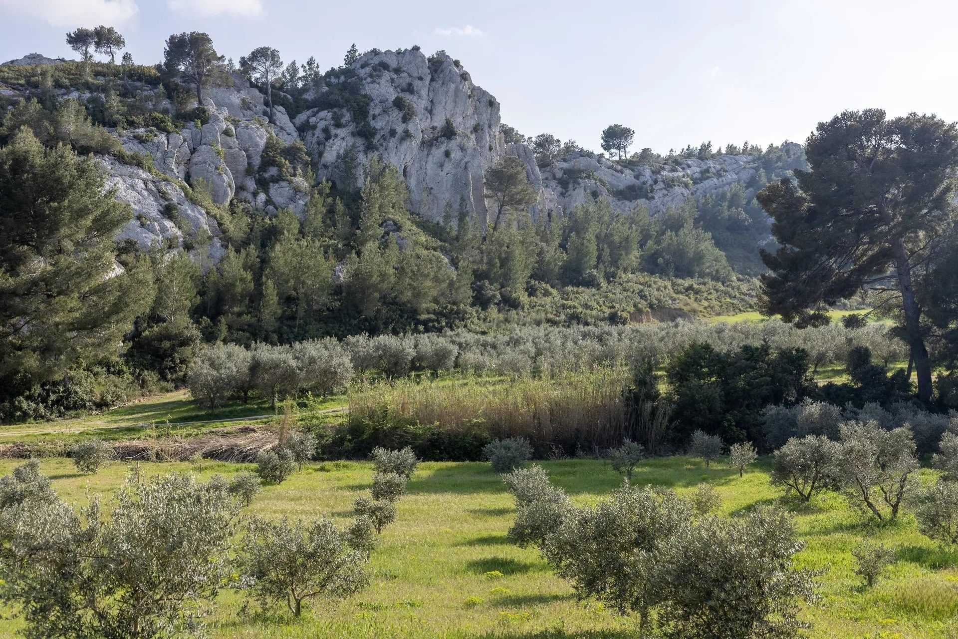 mas 10 Rooms for seasonal rent on MAUSSANE LES ALPILLES (13520)