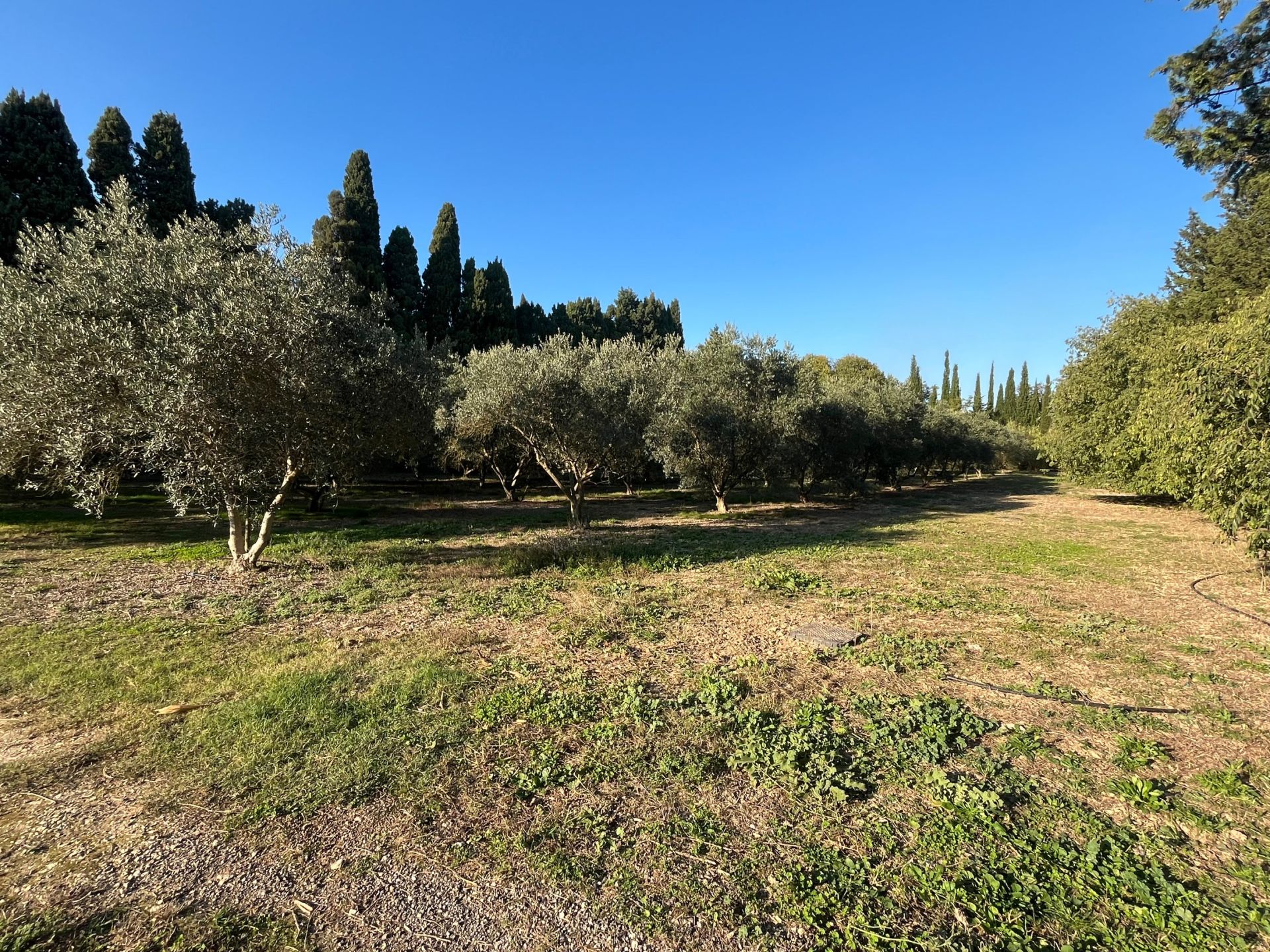 house 5 Rooms for sale on ST REMY DE PROVENCE (13210)