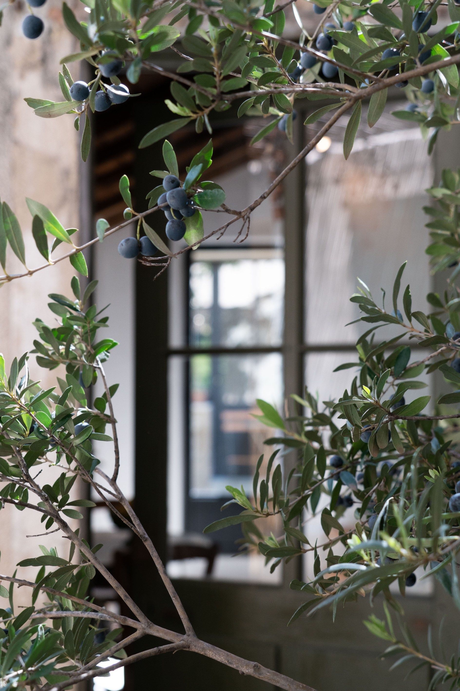 house 4 Rooms for sale on ST REMY DE PROVENCE (13210)