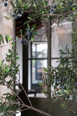 maison 4 Pièces en vente sur ST REMY DE PROVENCE (13210)