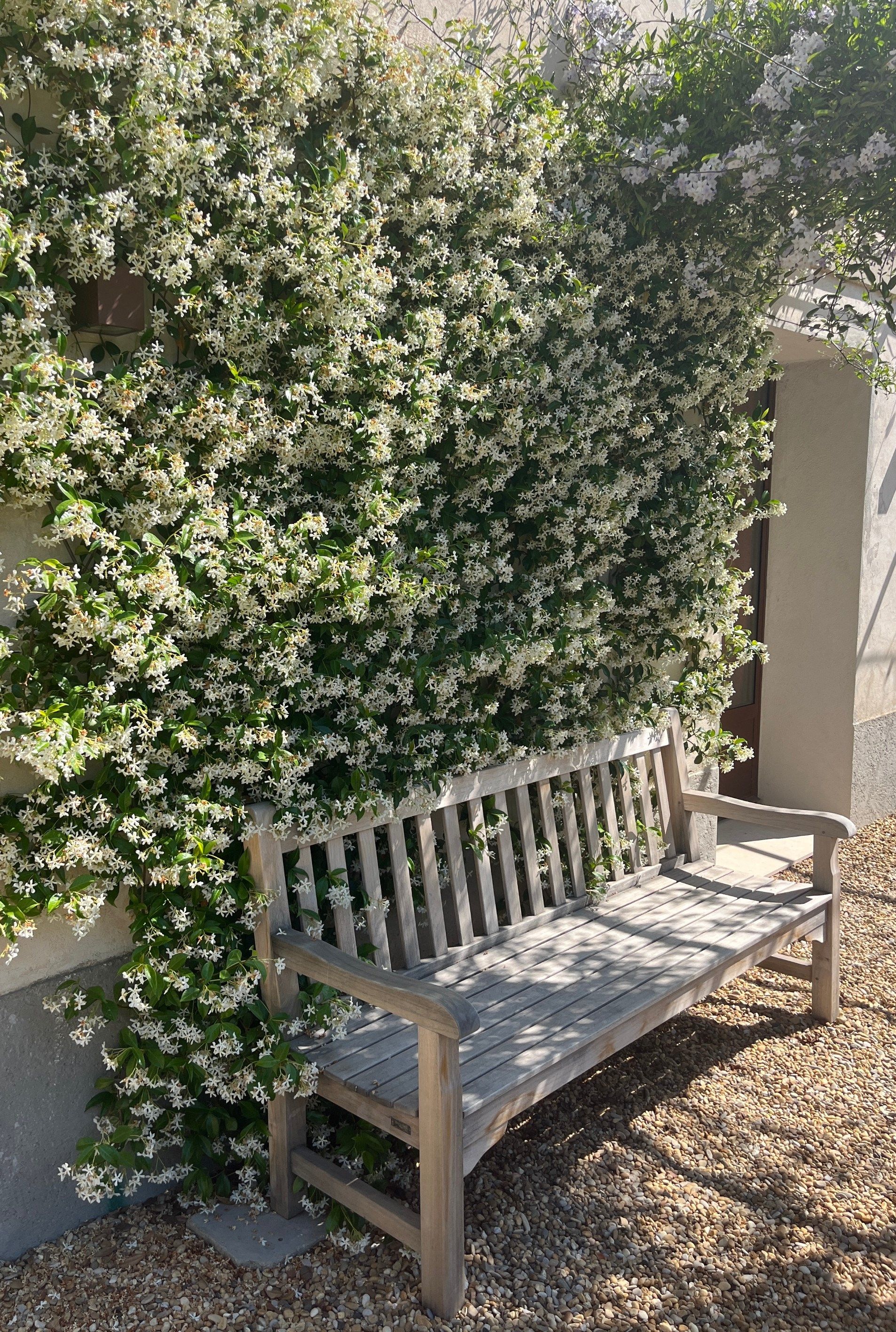 maison 6 Pièces en vente sur ST REMY DE PROVENCE (13210)