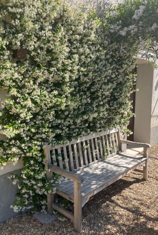 maison 6 Pièces en vente sur ST REMY DE PROVENCE (13210)