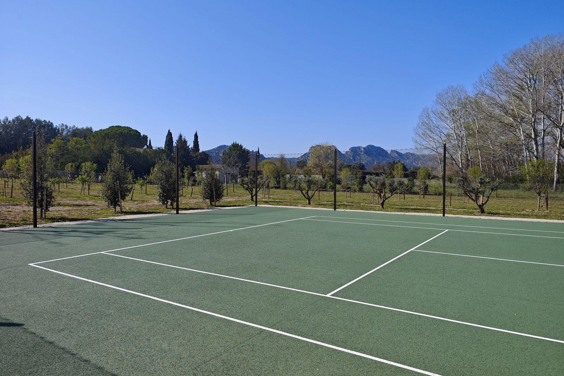 house 10 Rooms for sale on EYGALIERES (13810)