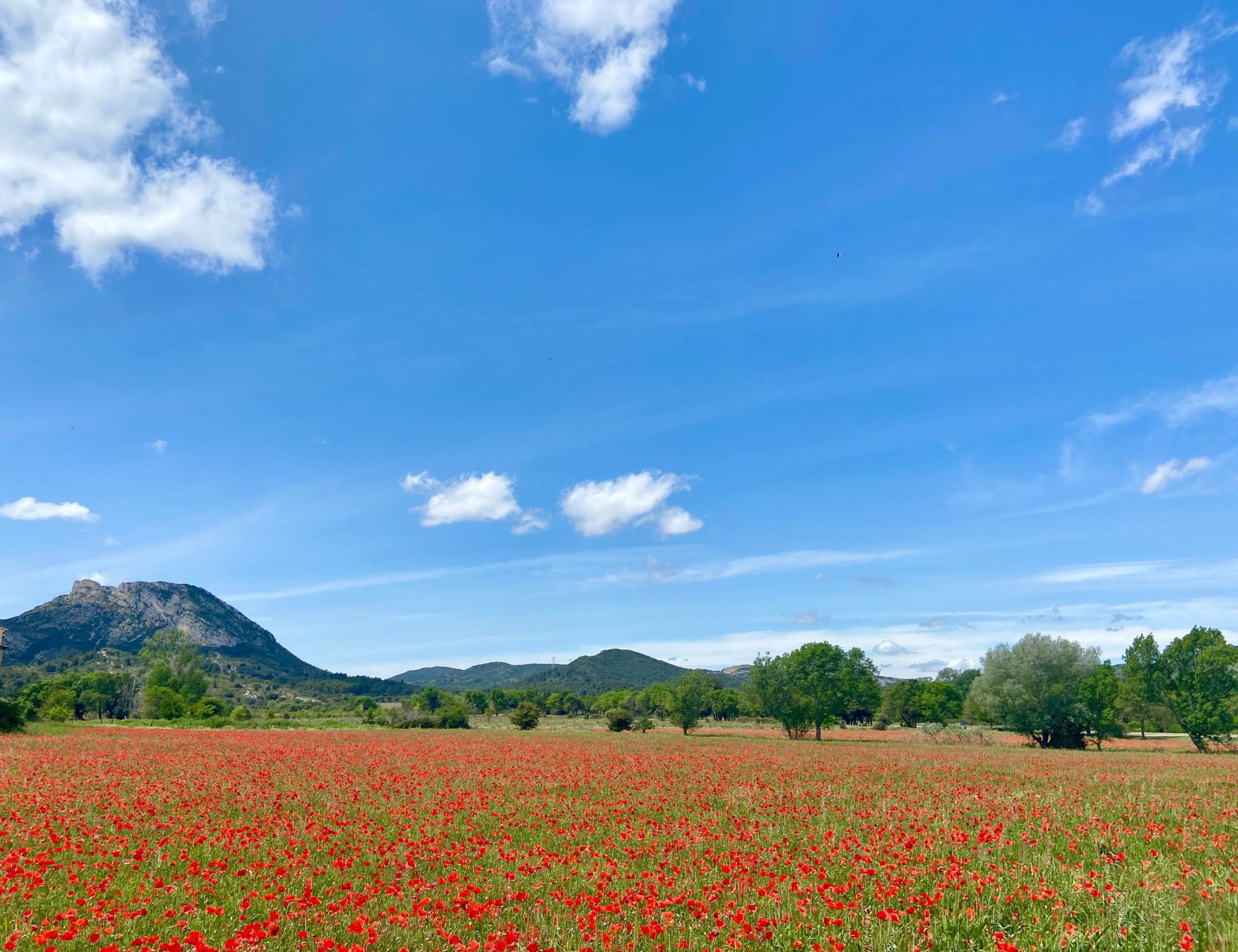house 6 Rooms for sale on EYGALIERES (13810)