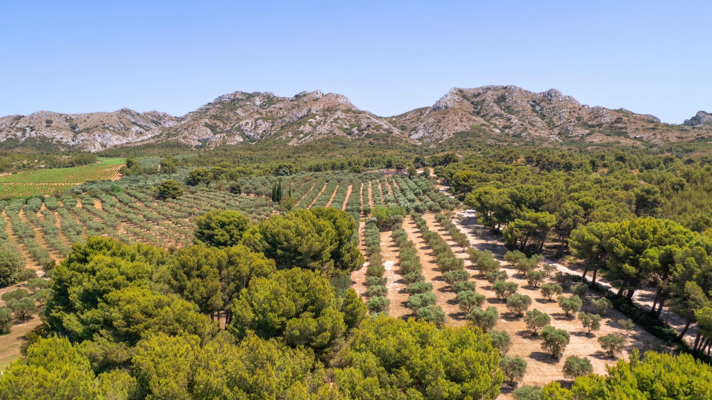 maison 6 Pièces en vente sur EYGALIERES (13810)