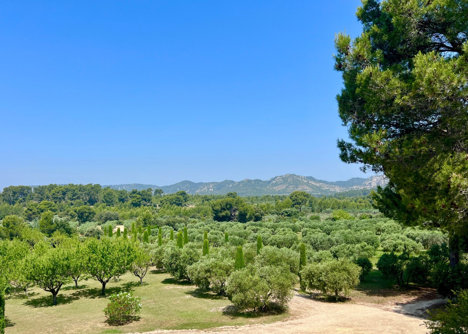 maison 6 Pièces en vente sur EYGALIERES (13810)