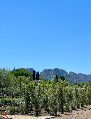 maison 6 Pièces en vente sur EYGALIERES (13810)