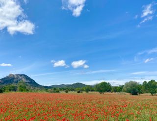 maison 6 Pièces en vente sur EYGALIERES (13810)