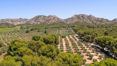 maison 6 Pièces en vente sur EYGALIERES (13810)