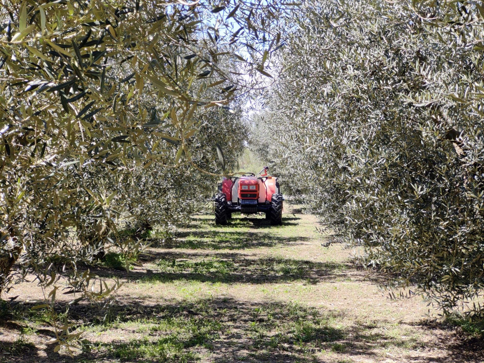 maison 25 Pièces en vente sur MAUSSANE LES ALPILLES (13520)