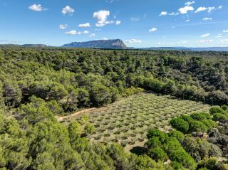 maison 16 Pièces en vente sur AIX EN PROVENCE (13100)
