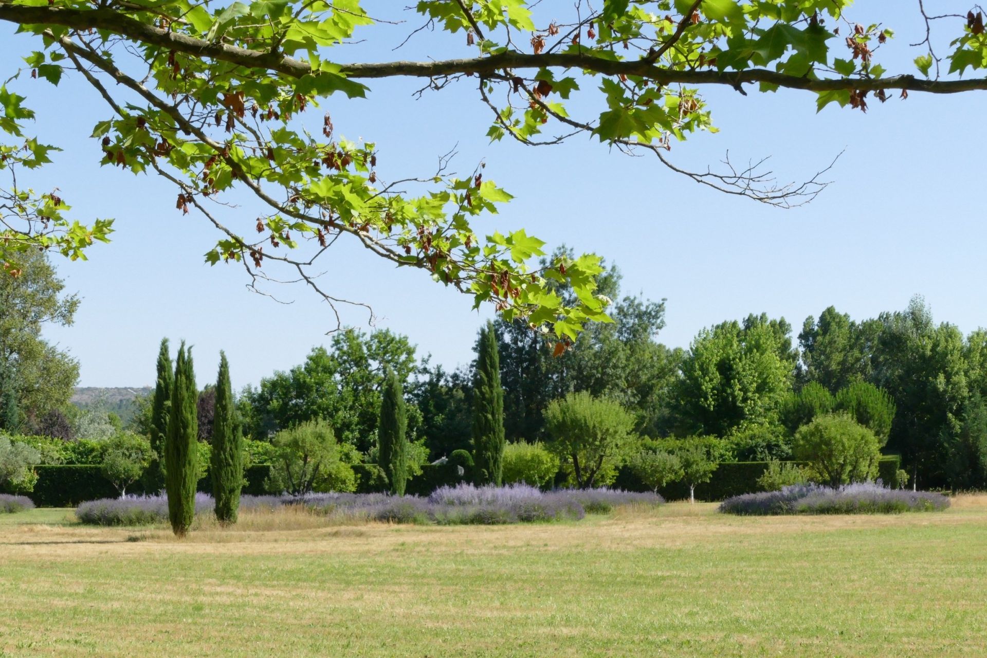 maison 20 Pièces en vente sur BRIGNOLES (83170)