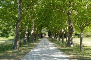 maison 20 Pièces en vente sur BRIGNOLES (83170)