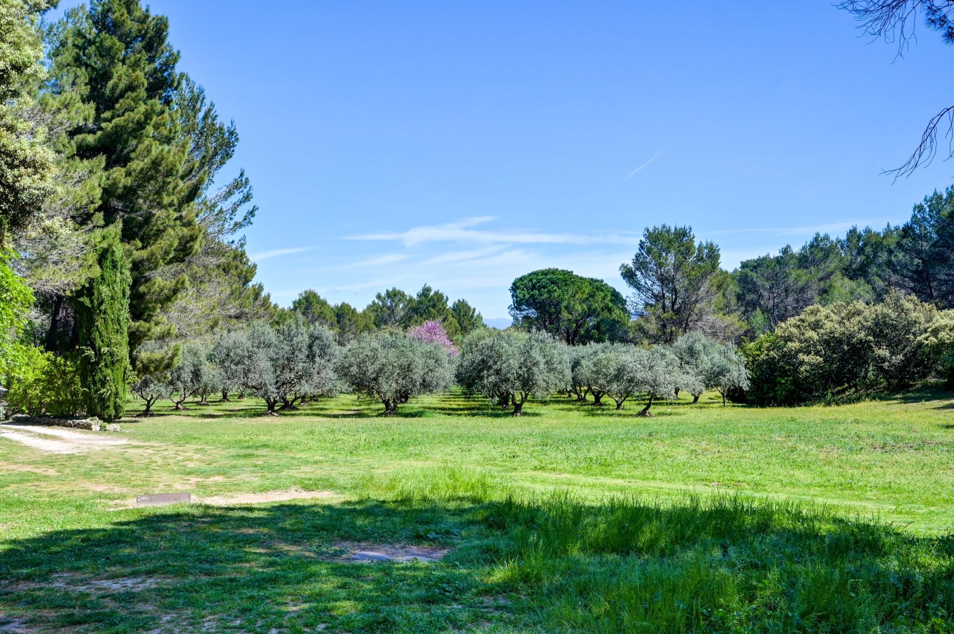 mas 16 Pièces en vente sur EYGALIERES (13810)