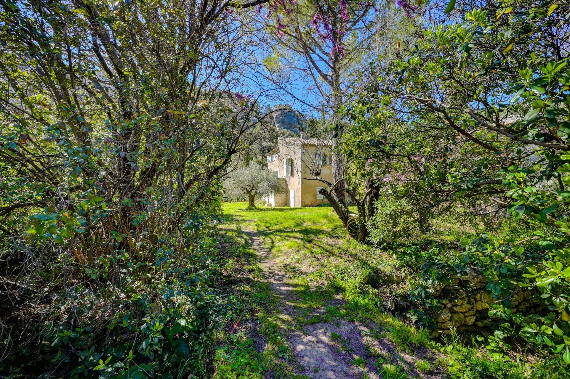 maison 13 Pièces en vente sur LES BAUX DE PROVENCE (13520)