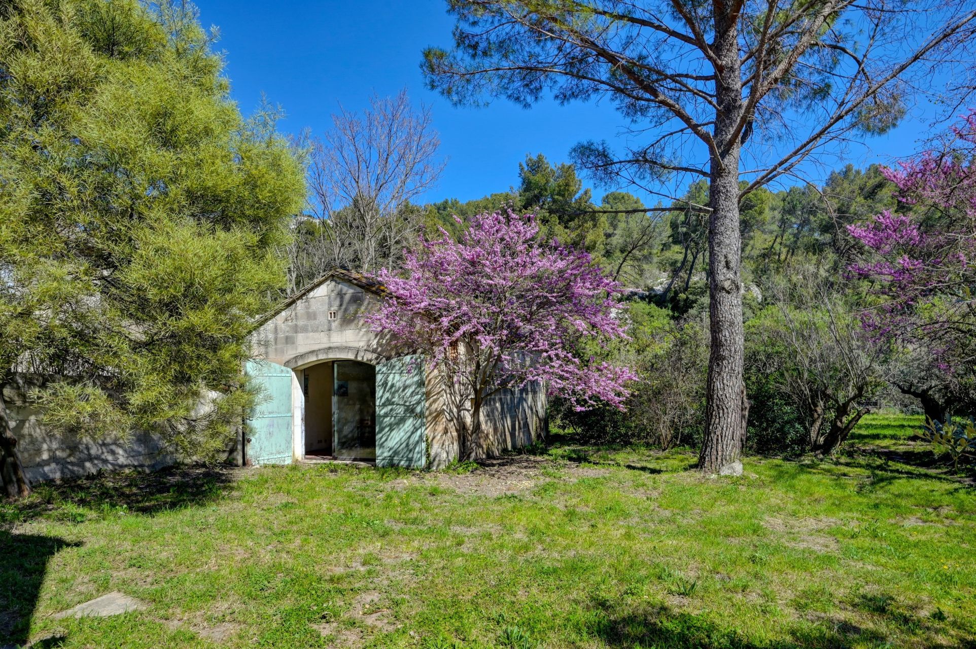 house 13 Rooms for sale on LES BAUX DE PROVENCE (13520)