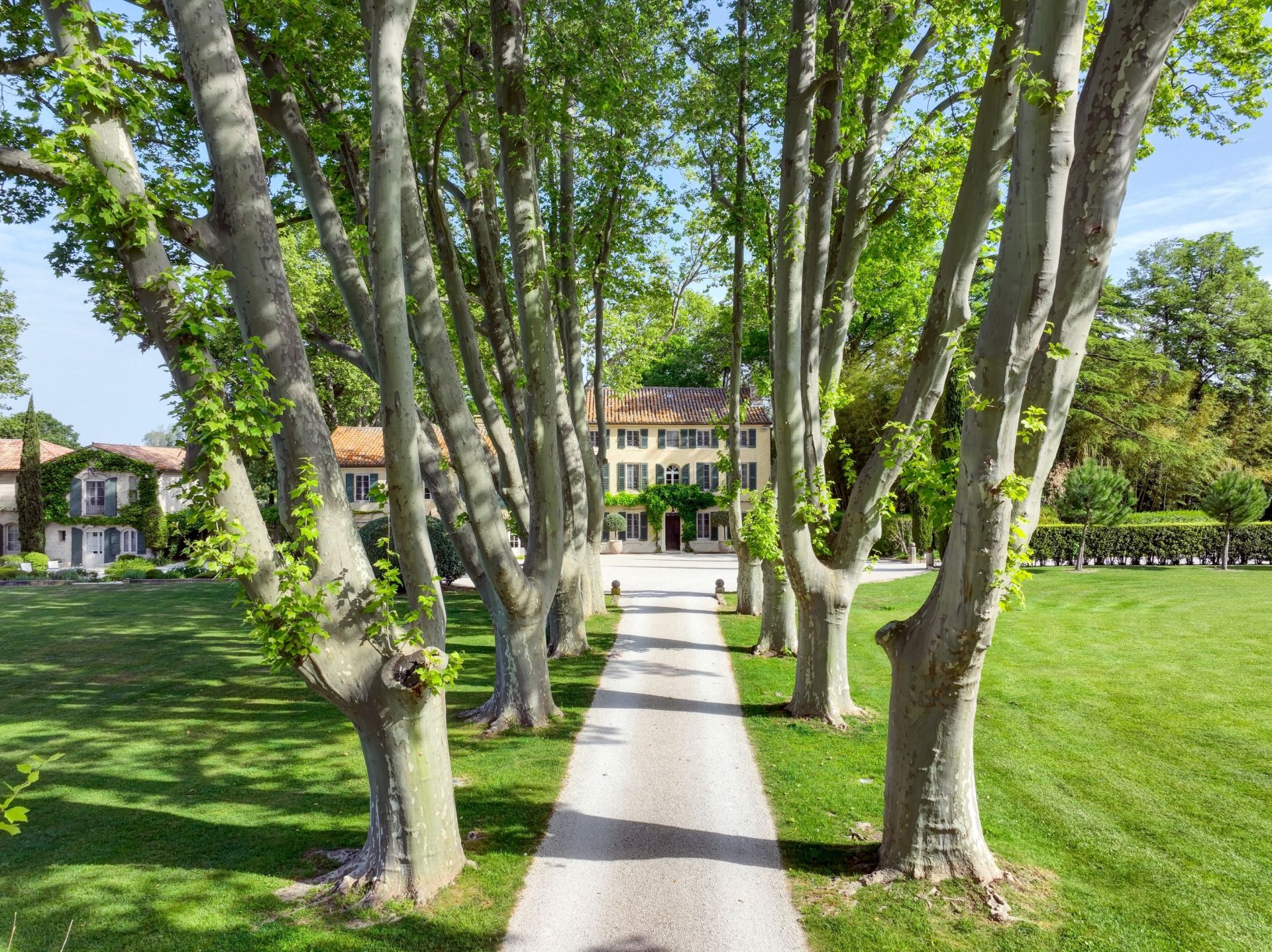 house 23 Rooms for sale on ST REMY DE PROVENCE (13210)