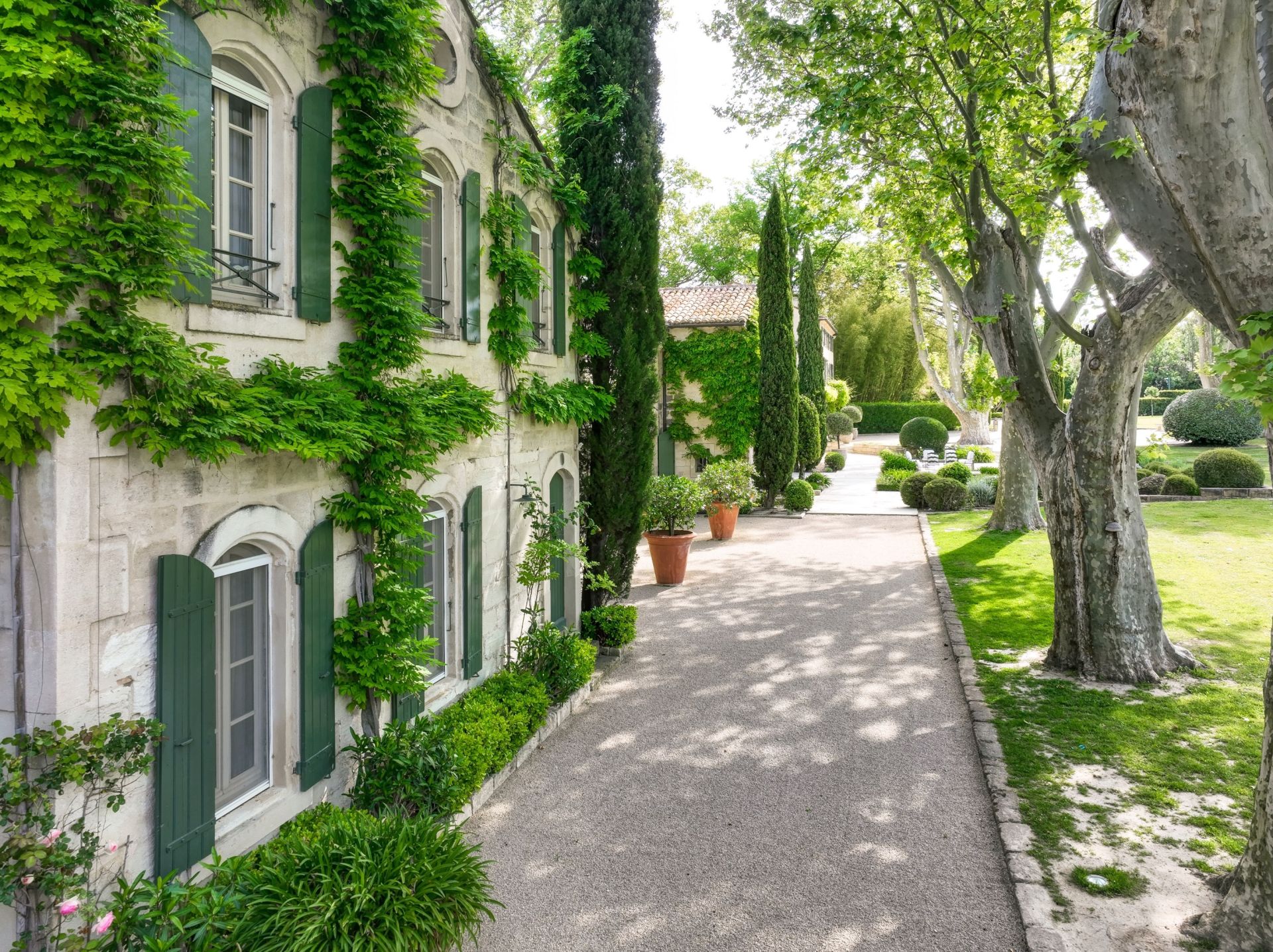 house 23 Rooms for sale on ST REMY DE PROVENCE (13210)