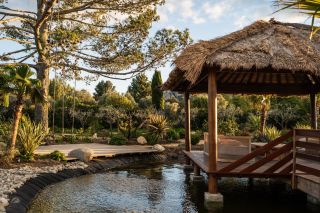 house 8 Rooms for sale on EYGALIERES (13810)