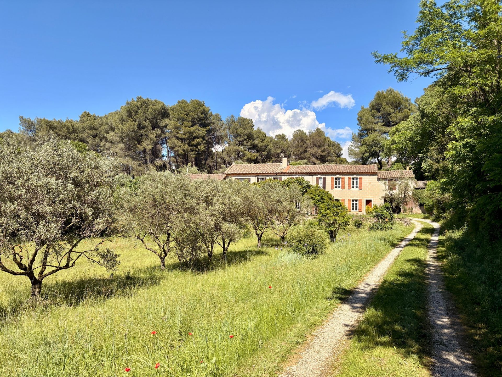 house 8 Rooms for sale on ST ETIENNE DU GRES (13103)