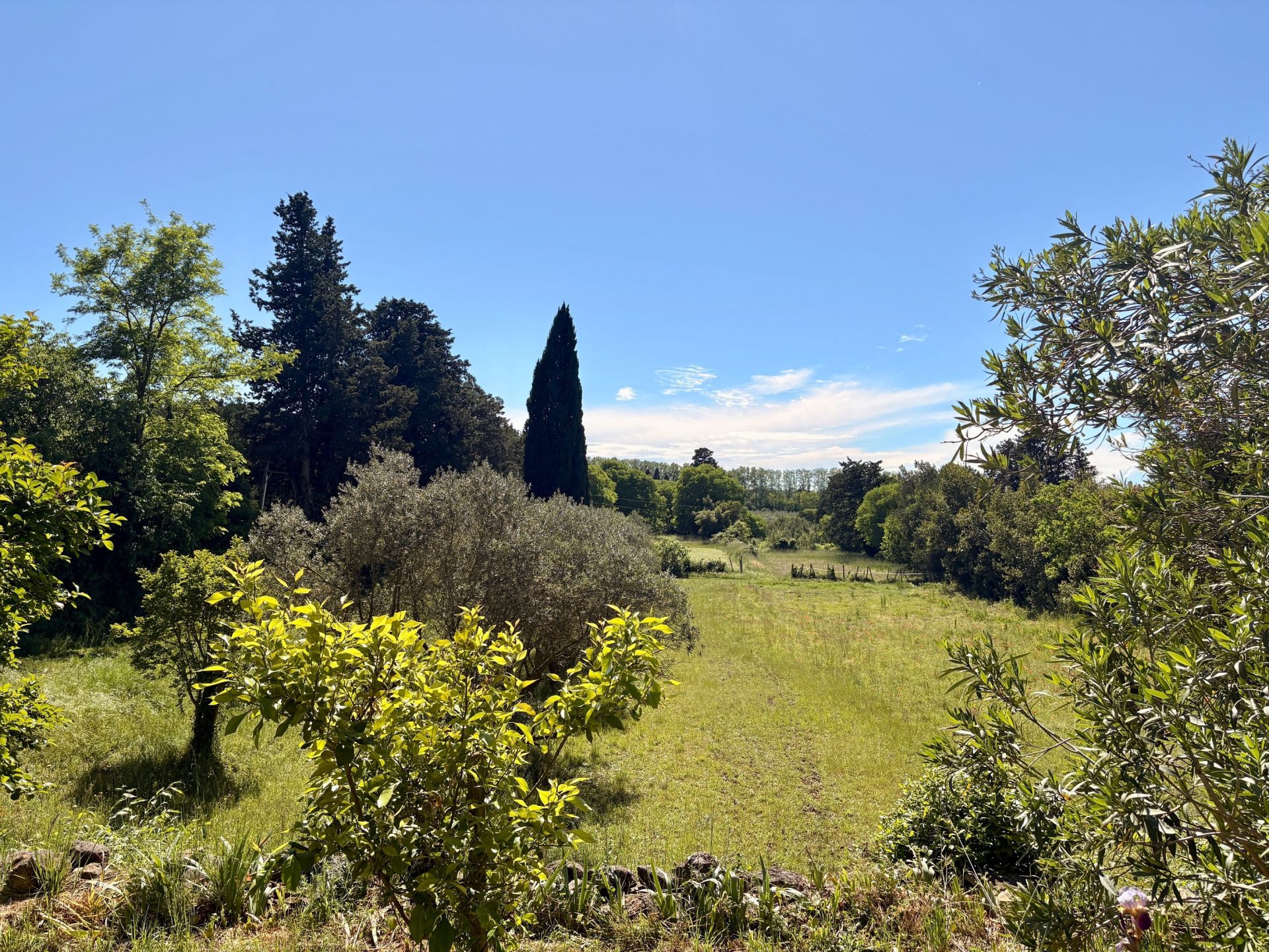 maison 8 Pièces en vente sur ST ETIENNE DU GRES (13103)