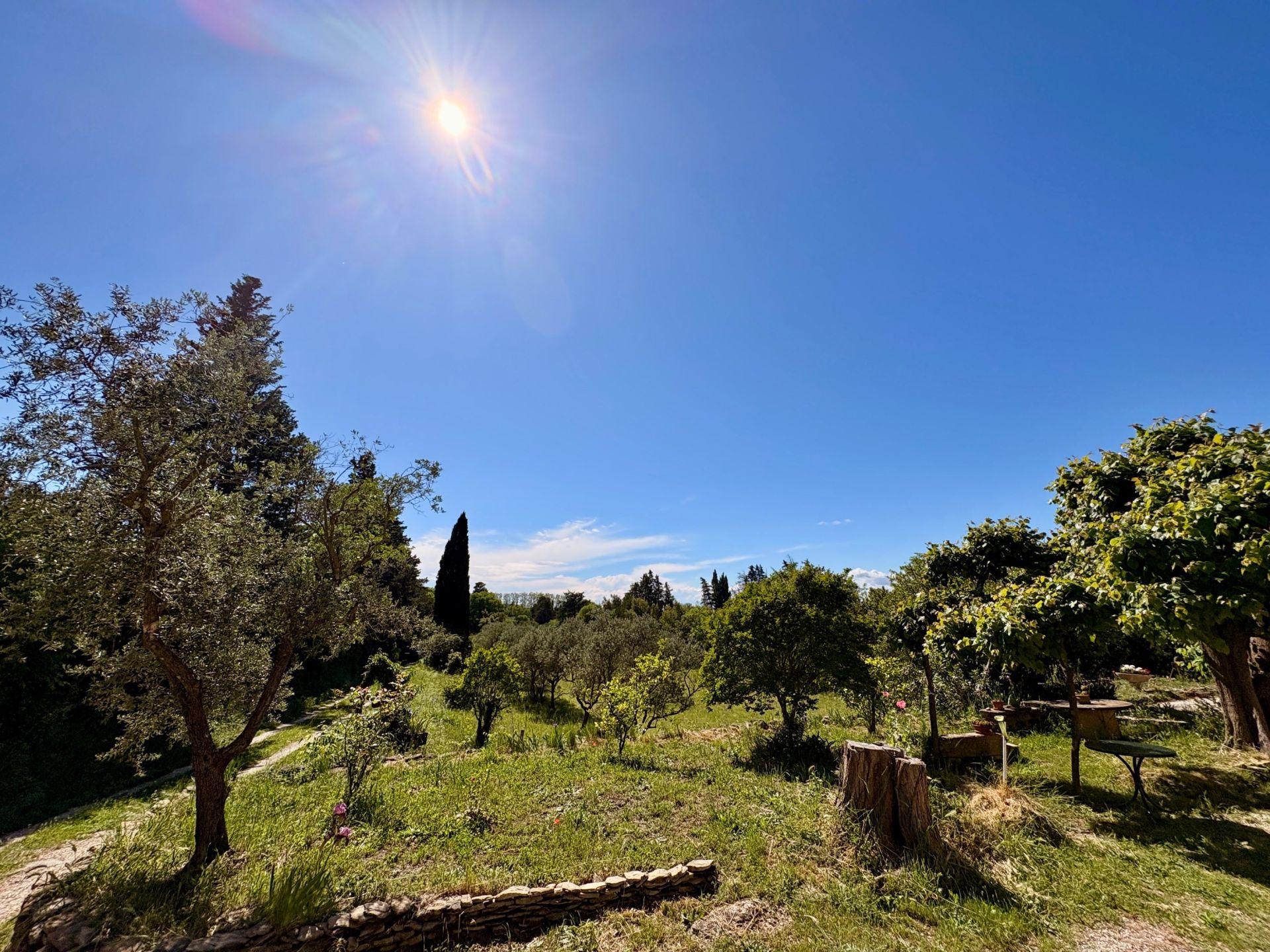 maison 8 Pièces en vente sur ST ETIENNE DU GRES (13103)